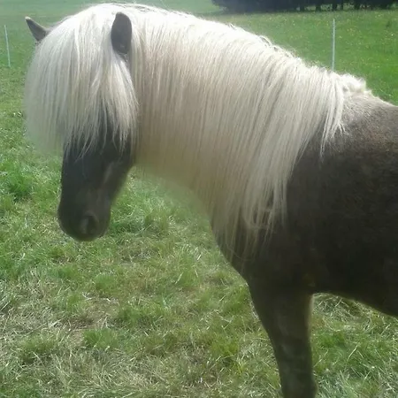 Haus Am Sonnenberg ウルメン