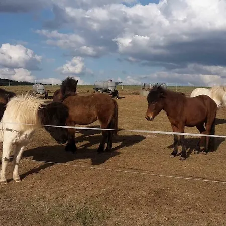 アパート Haus Am Sonnenberg ウルメン