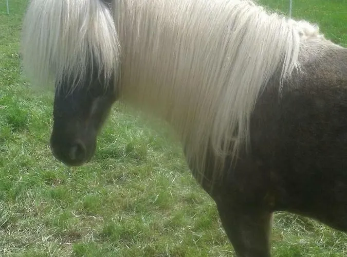 Haus Am Sonnenberg Ulmen