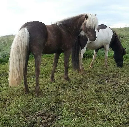 Haus Am Sonnenberg Apartmán Ulmen